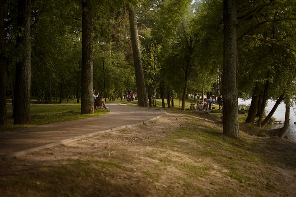 L'histoire fascinante de la grossesse nerveuse : une perspective historique révélatrice