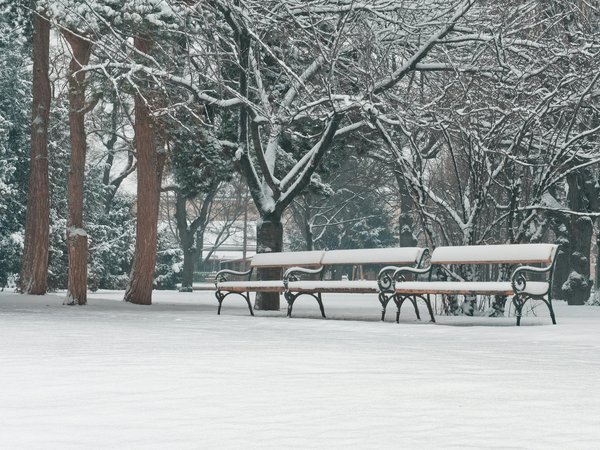 Comment les réseaux sociaux impactent-ils notre perception de la santé?